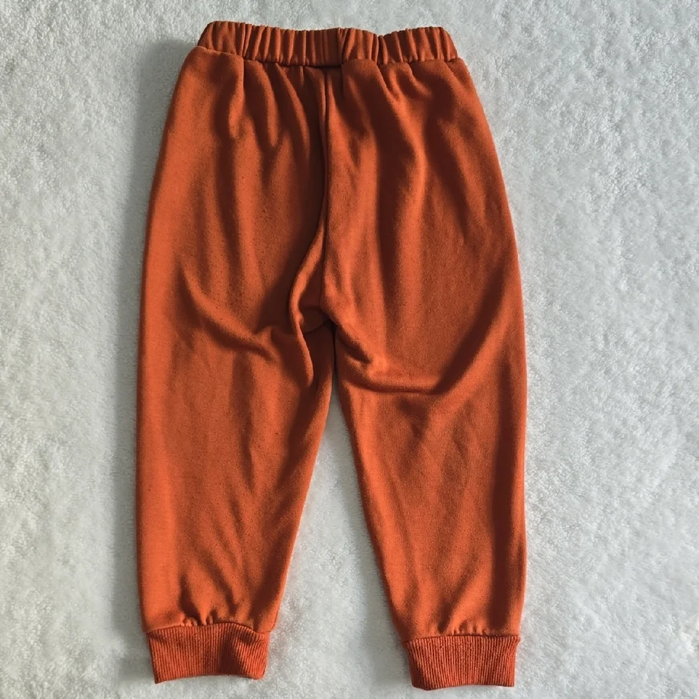 Orange Sweatshirt and Pants Set